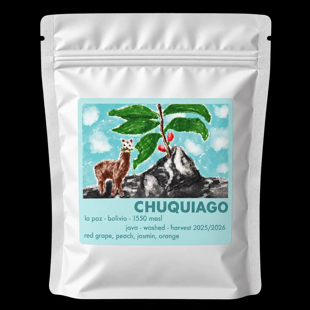 Bolivien Chuquiago